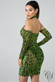 Aria Cheetah Mesh Bodycon Dress, Dresses - Designs By Cece Symoné